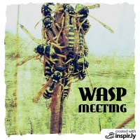 wasp meeting