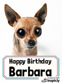 Happy Birthday chihuahua
