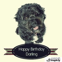 Happy birthday darling dog