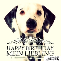 Happy Birthday mein Liebling