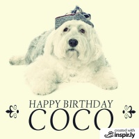 Coco